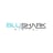 BluShark Digital Logo