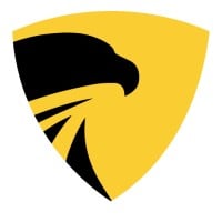 Analyst1 Logo