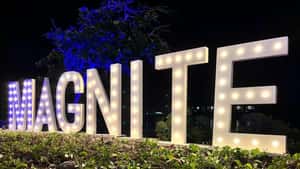 Magnite