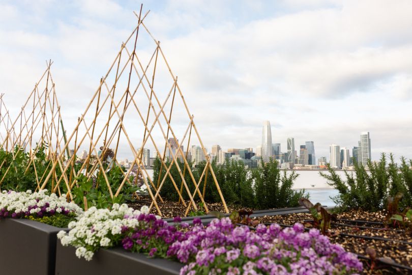 rooftop farm adobe office tour