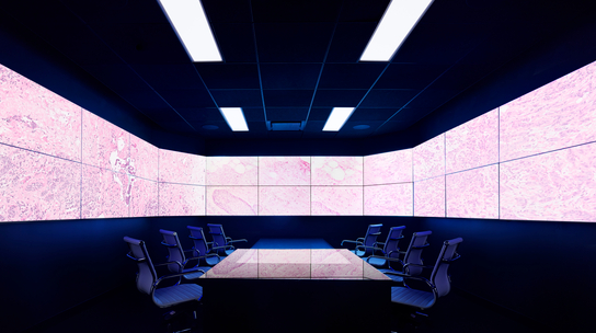 Company Office