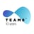 Team8 Logo