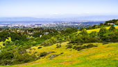 Image: Shutterstock