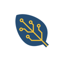 AllSpice Logo