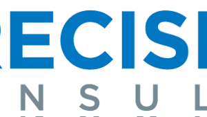 Precision IT Consulting