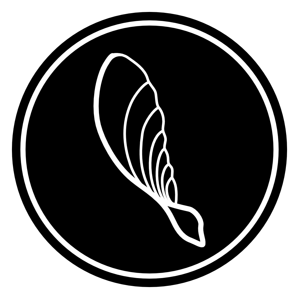Samara Aerospace